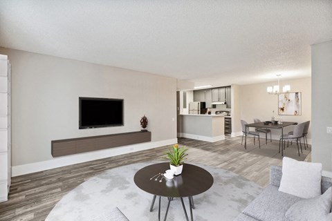 our apartments offer a living room and dining area with a tv