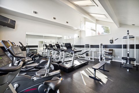The Gym at Great Hills, Austin, Texas