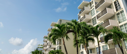 Views of foxtail palm trees at the front of apartment buildings at Miami, FL, the most competitive rental markets in the U.S. at the start of the 2025 moving season.