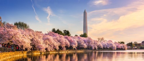 Washington, D.C., remains the leading city in terms of rental activity.
